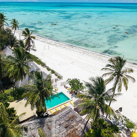 Pili Pili Palm Beach Jambiani  Eksteriør bilde