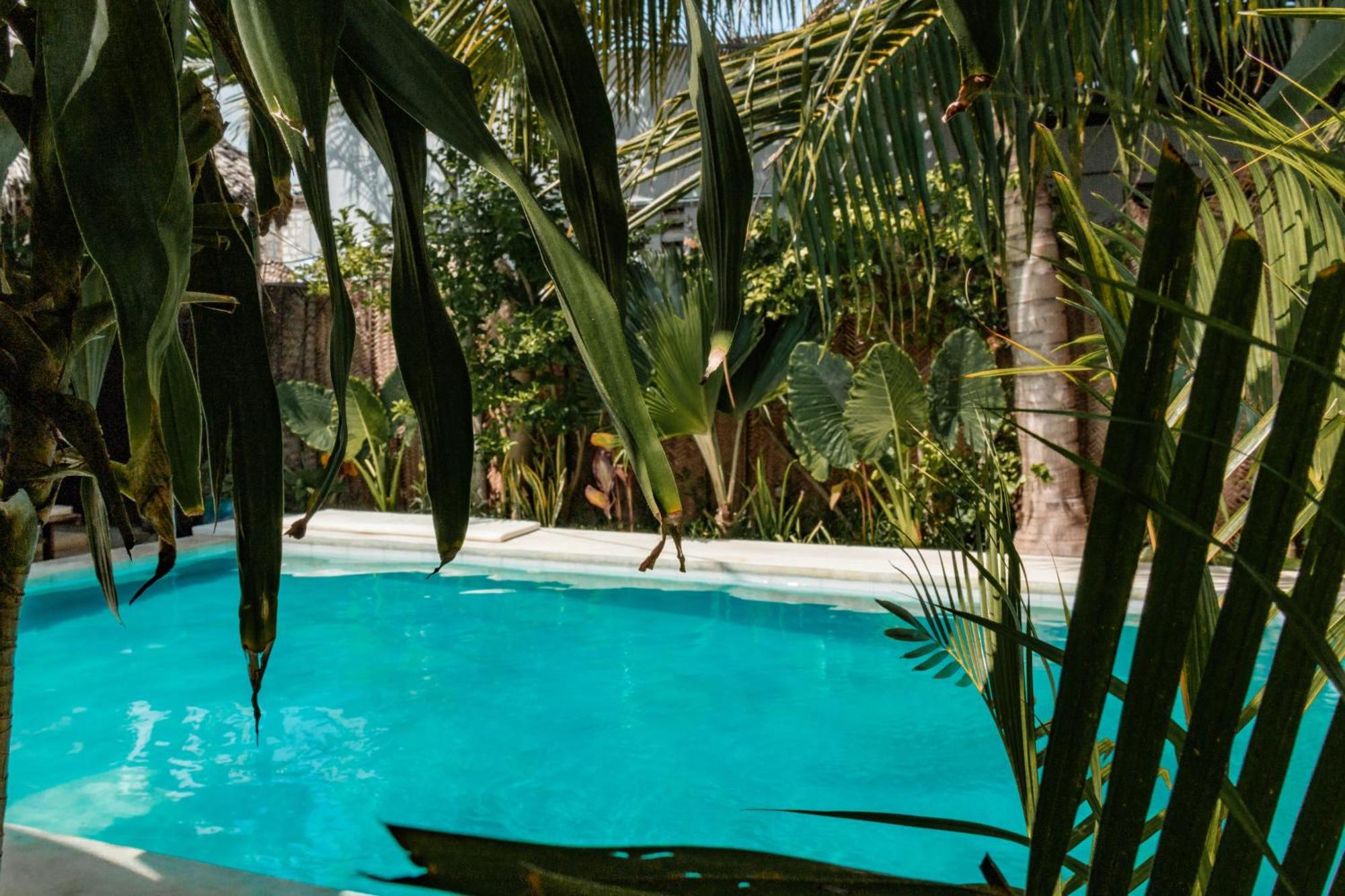 Pili Pili Palm Beach Jambiani  Eksteriør bilde